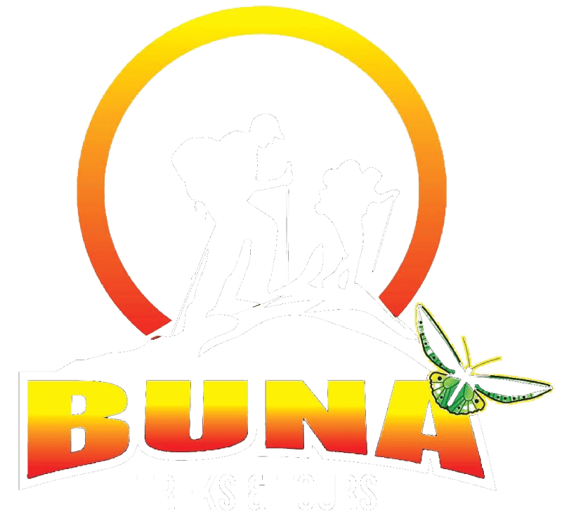 png experience tours